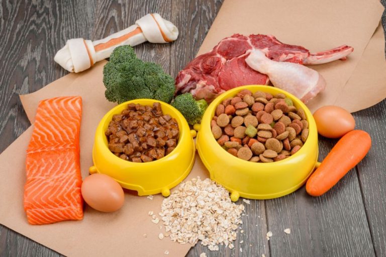 Enhanced Diet Best Ways To Enrich Your Dog's Kibble Pittsburgh Family Magazine