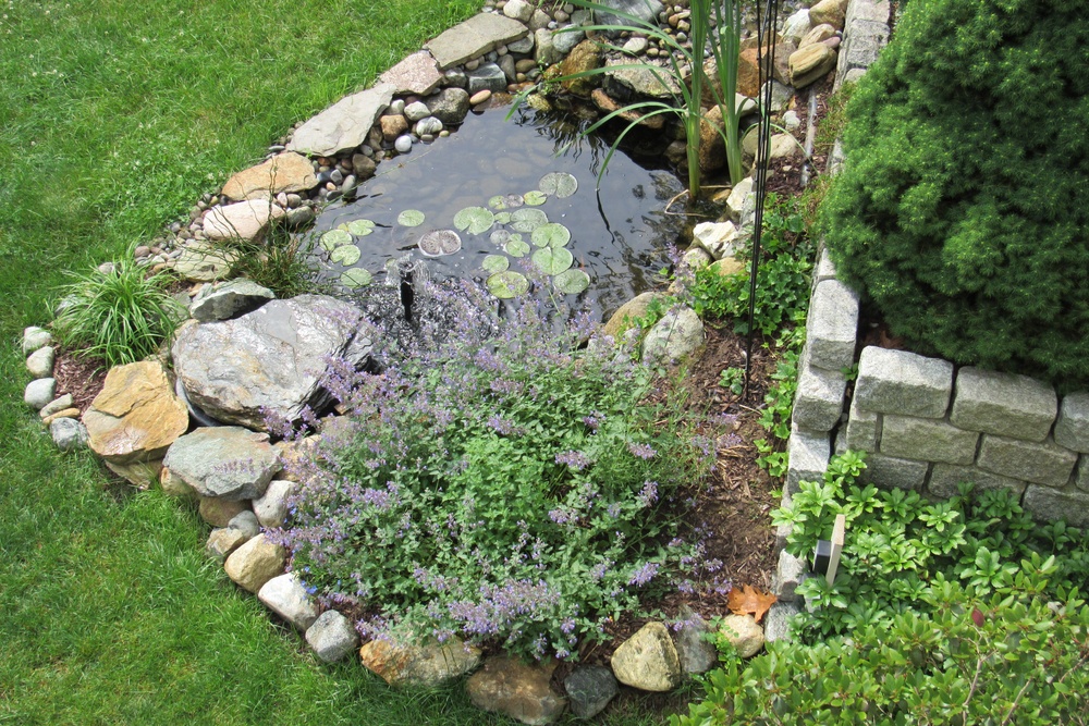 A backyard pond is bordered by large rocks, purple flowers, and lush greenery. A retaining wall is behind the pond.
